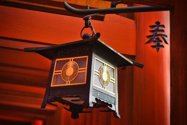 神木丽社群影响力配图——数字化社区互动场景，展示粉丝在各平台讨论神木丽相关话题的活跃氛围